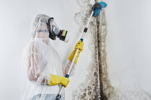 Water Damage Restoration in Gallitzin, PA