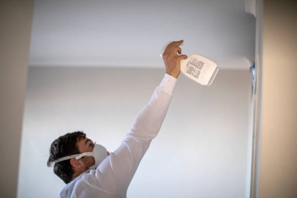 Best Affordable Mold Removal  in Gallitzin, PA