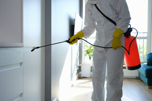 Best Commercial Mold Removal  in Gallitzin, PA