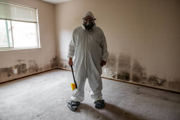 Home Mold Removal in Gallitzin, PA